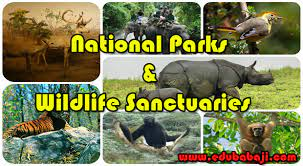 Current Status of wildlife sanctuaries and national parks