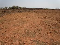 Creation of land banks, no specification/ methodology has been laid down: Union MoS for Environment, Forest and Climate Change Shri Ashwini Kumar Choubey