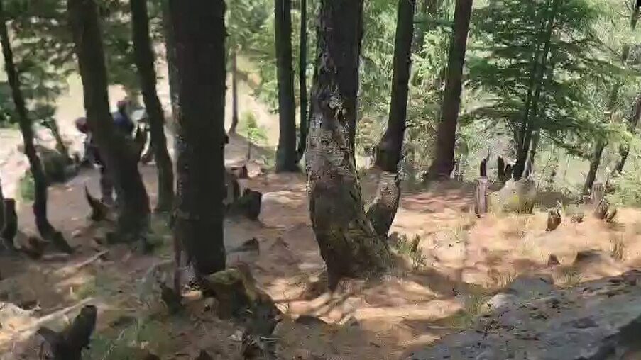 Indian Army has launched a cordon and search operation in the dense forests of Kota Top area in Gandoh