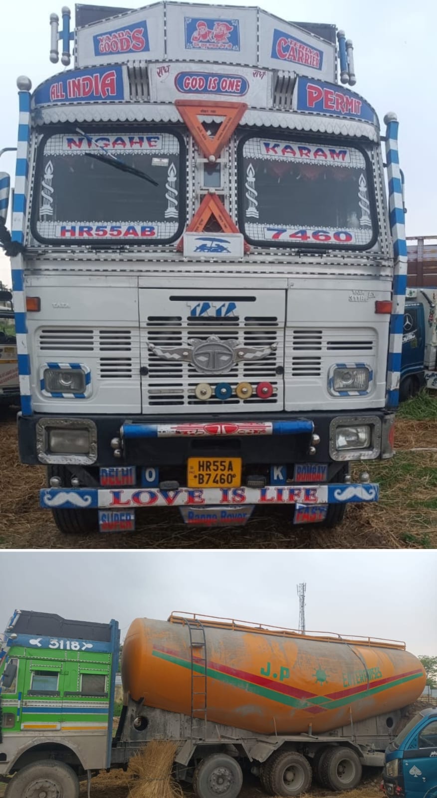 SAMBA POLICE FOILS BOVINE SMUGGLING ATTEMPT: RESCUES 15 BOVINES